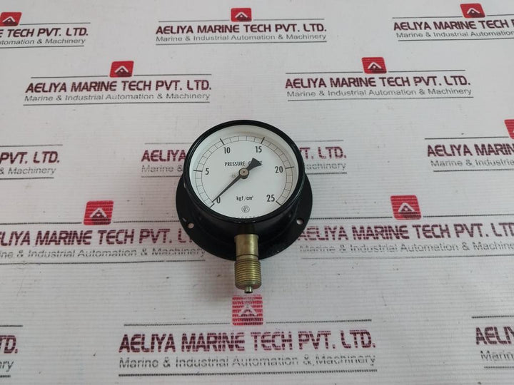 Nks 0-25 Kgf/Cm2 Pressure Gauge 7386358