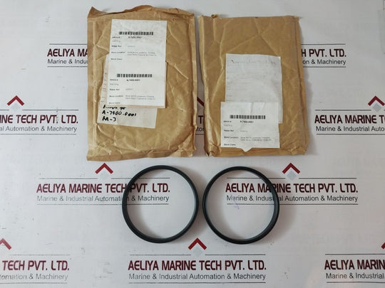 Norwegian ix100f51 seal ring