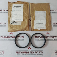 Norwegian ix100f51 seal ring