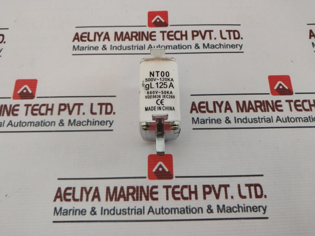 Nt00 Fuse Link 125A 500V