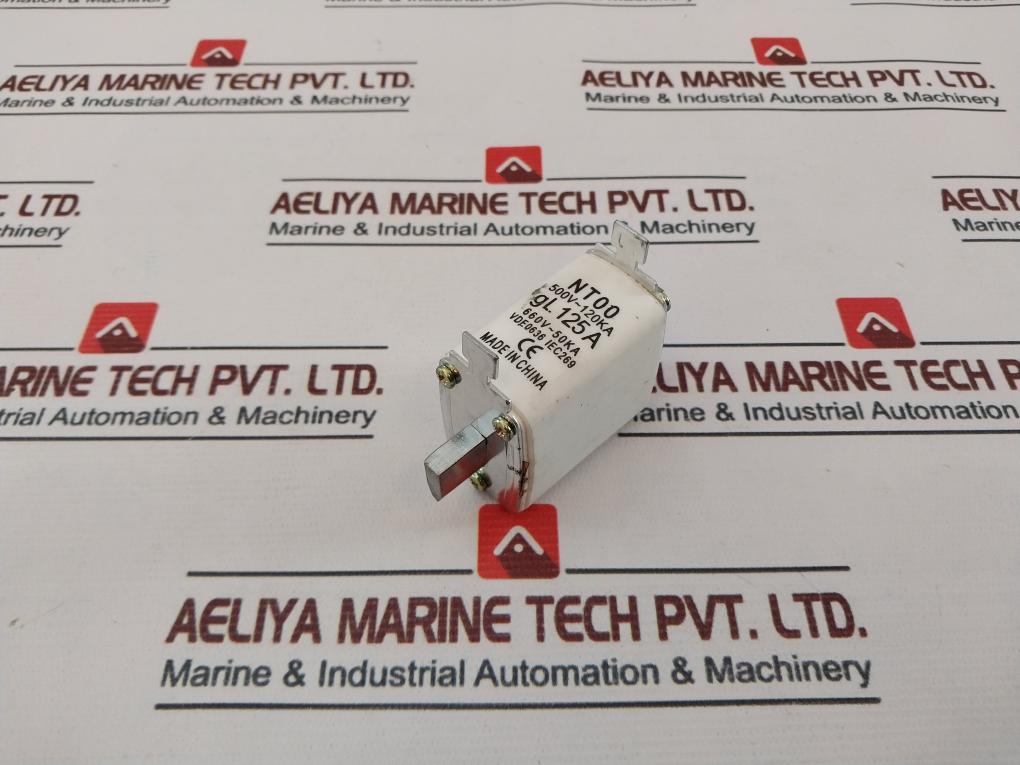 Nt00 Fuse Link 125A 500V