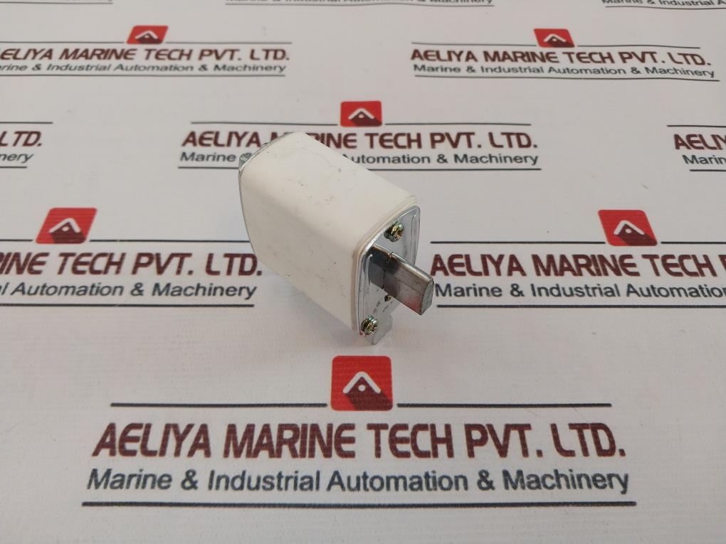 Nt00 Fuse Link 125A 500V
