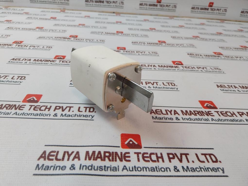 Nt1 500V~100Ka Fuse 80A Gg/Gl