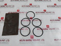 Oceaneering 100395-sk Valve Repair Kit 100304
