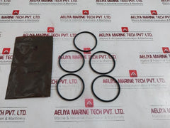 Oceaneering 100395-sk Valve Repair Kit 100304