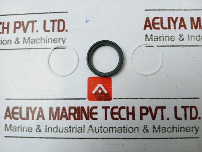 Oceaneering 100813-rk Valve Repair Kit Spm 2 Wno 1.5 In 5ksi X200284301