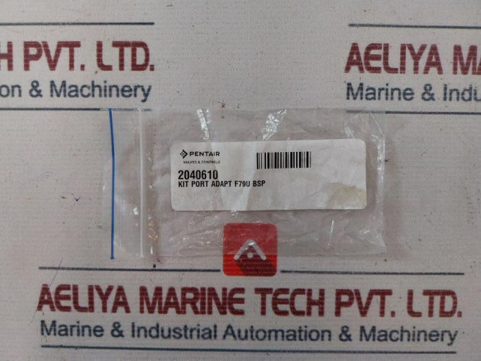 Pentair 2040610 Valves & Controls Kit Port Adapt F79U Bsp