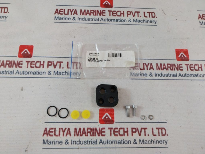 Pentair 2040610 Valve & Control Kit Port Adapt F79U Bsp