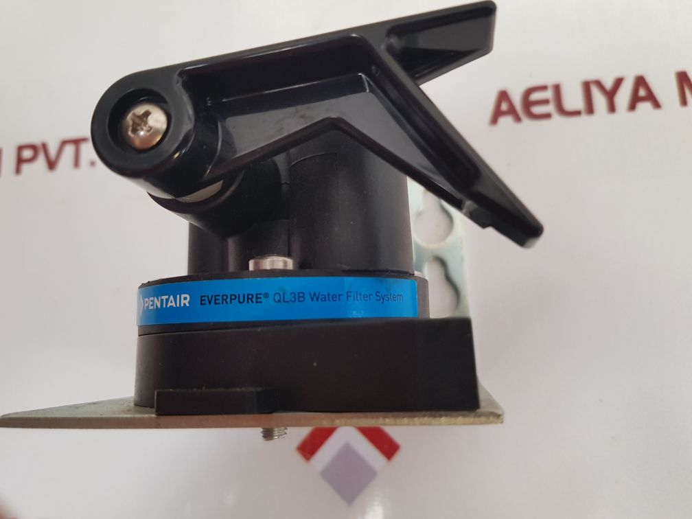 Pentair everpure ql3b single heads