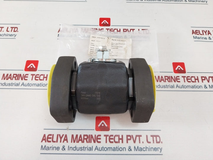 Pister SKH-DN40 Ball Valve 1.5 In 6000 PSI DN40, X200386518