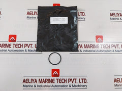 CAMERON 2185018-00-49 Drg Valve Seal Plate & Seal Ring Kit
