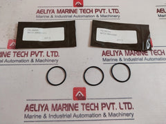 Oceaneering 100755-rk Normally-closed Spm Valve Repair Kit