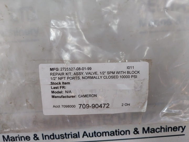 Cameron 2725827-08-01-99 Valve Repair Kit 1/2