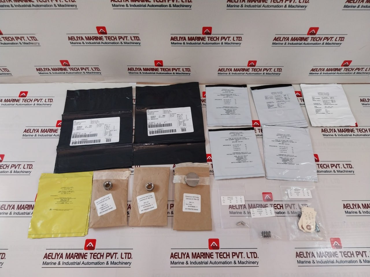 Cameron 2406436-28-99 Drg Valve Repair Kit