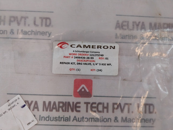 Cameron 2406436-28-99 Drg Valve Repair Kit