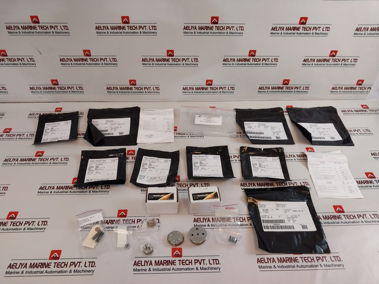 Cameron 2185188-28-99 Drg Valve Repair Kit