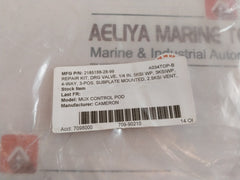 Cameron 2185188-28-99 Drg Valve Repair Kit
