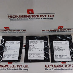Oceaneering 100818-RK Repair SPM Valve Kit 100090-229 REV.A