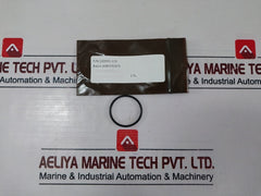 Oceaneering 100755-rk Valve Repair Kit Rev: Ac
