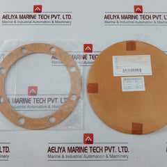Nakakita Seisakusho 91Kx021 Steam Reducing Valve Gasket Kit 39 A.B Kd016469