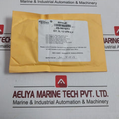 General Electric 20-507012 Repair Kit For 1/2" Spm Bi-directional Valve Rev C