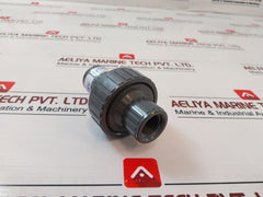 Plast-o-matic Ckm050V-pv 1/2” Check Valve