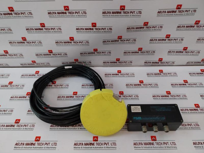 PSM INSTRUMENTATION 200/300 Pressure Sensor Transmitter 4-20 mA
