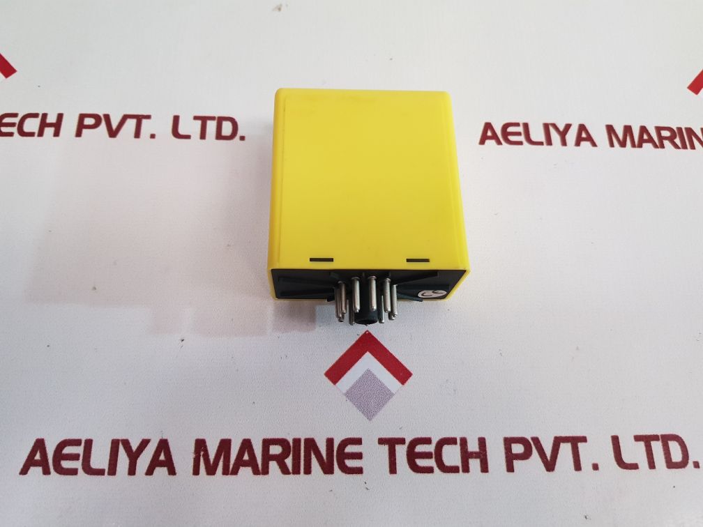 Pulsteknik R-System Rad on Delay Timer