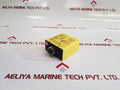 Pulsteknik R-System Rad on Delay Timer