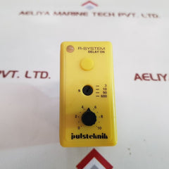 Pulsteknik R-System Rad on Delay Timer