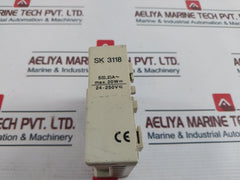 Rittal Sk 3118 Hygrostat Control 24-250V 20W