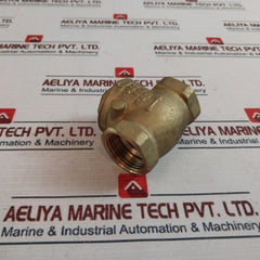 Rwo 1" Non Return Flap Valve 590 9025 001