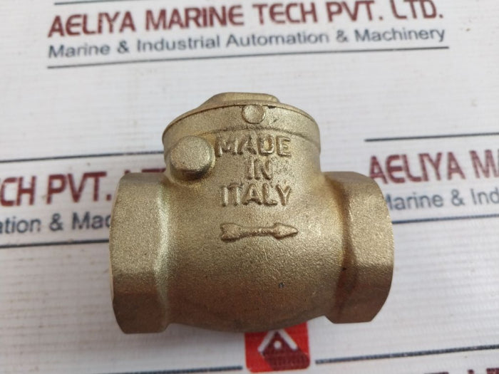Rwo 1" Non Return Flap Valve 590 9025 001