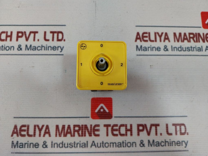 Salzer/Larsen & Toubro Limited S16-61153-B03 Rotary Switch 690V-16A