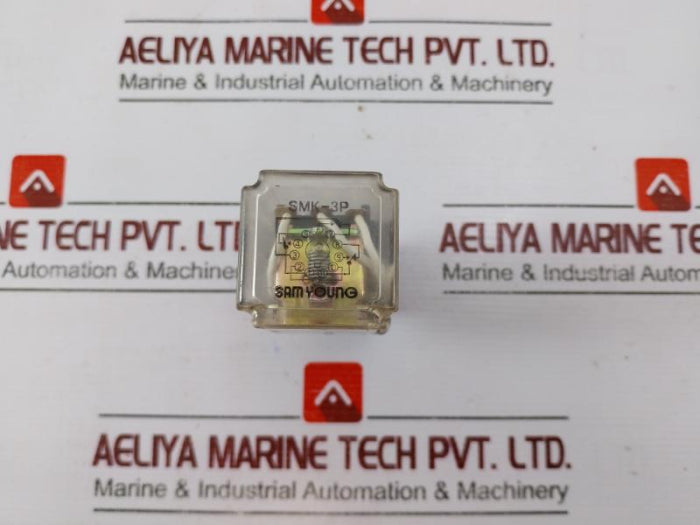 Sam Young Smk-3P Power Relay Ac24V 60W