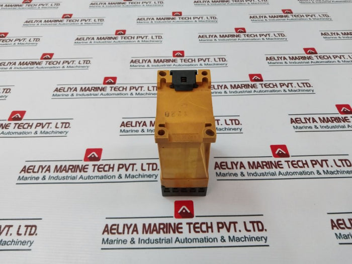 Schiele Ern Time Relay