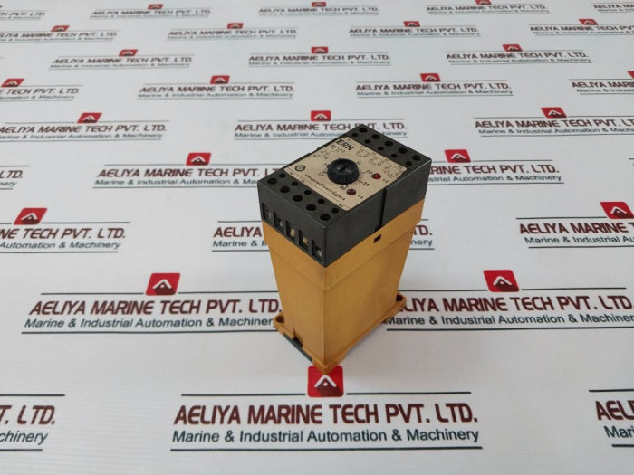 Schiele Ern Time Relay