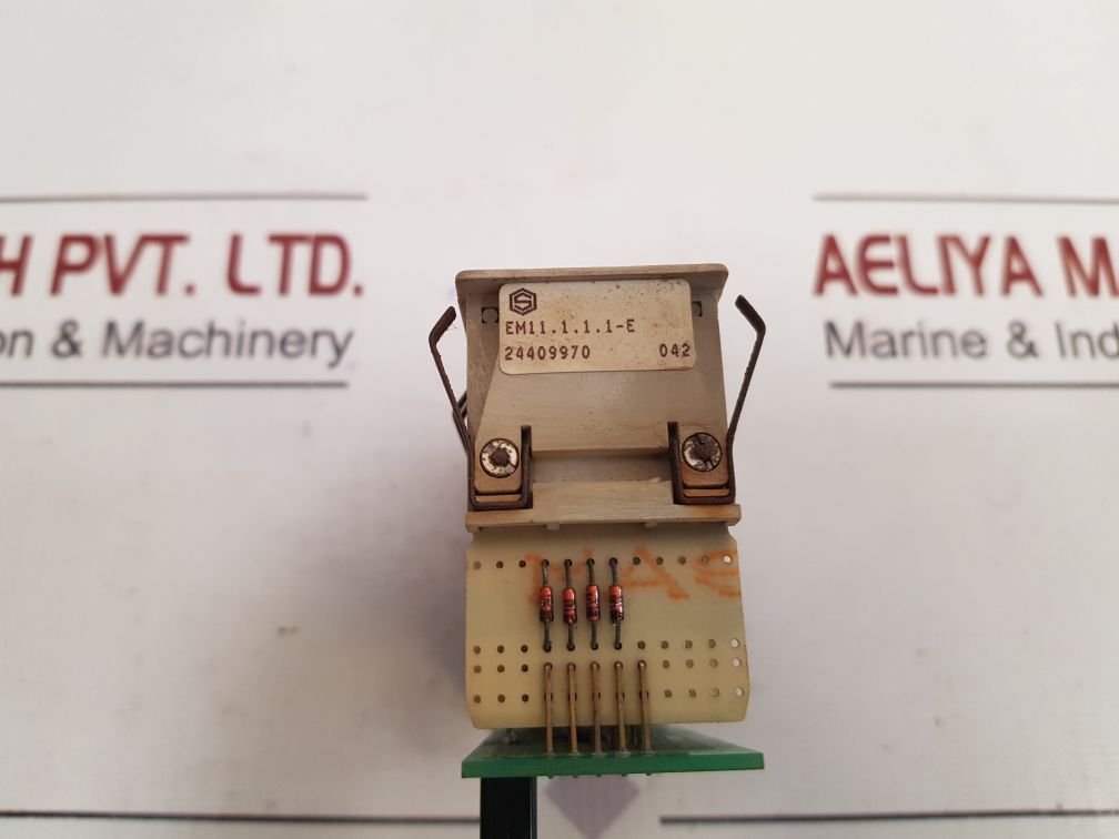 Schleicher em11.1.1.1-e