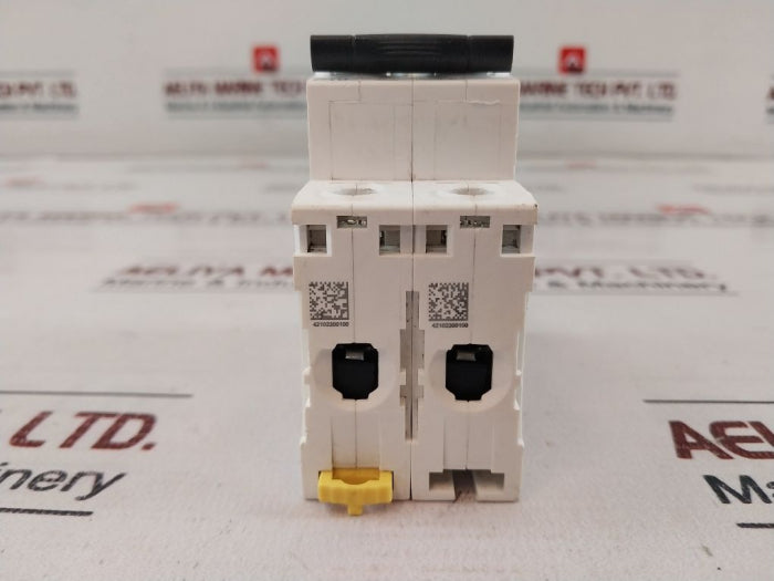 Schneider Electric Ic60N C 10A 2P Circuit Breaker 10A 380V