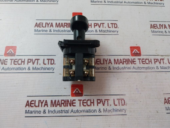 Seiko Electric En 2X Cam Switch 600V 15A