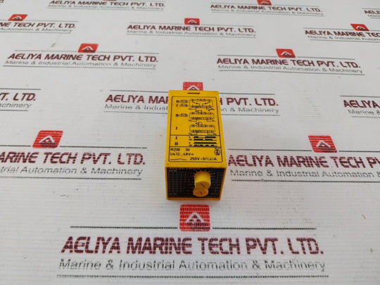 Selectron Rzib 30 Time Relay 250V