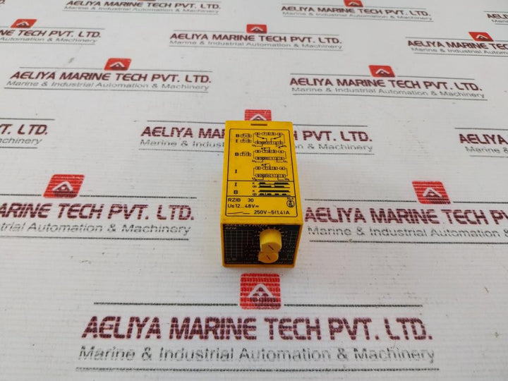 Selectron Rzib 30 Time Relay 250V