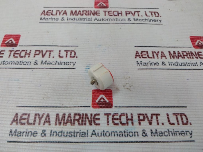 Siemens 10/500 Diazed Fitting Screw New