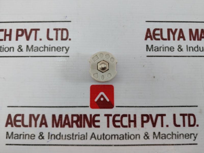 Siemens 10A 500V Fitting Screw