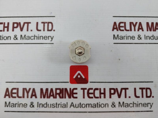 Siemens 10A 500V Fitting Screw