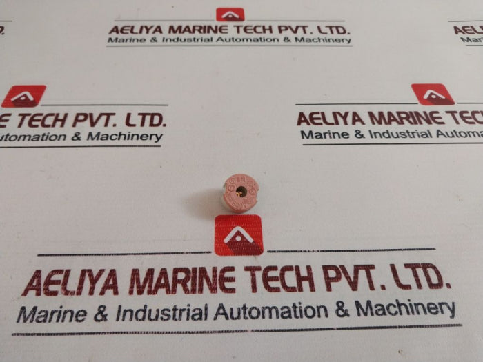 Siemens  Diazed Fitting Screw 2A 500V