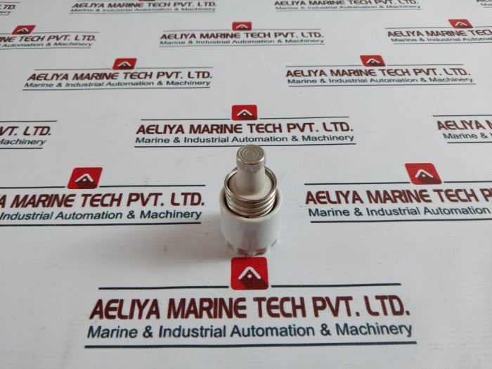 Siemens Screw Cap Fuse 500V