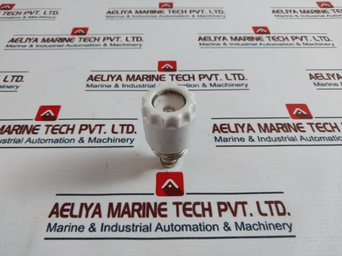 Siemens Screw Cap Fuse 500V