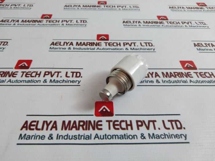 Siemens Screw Cap Fuse 500V