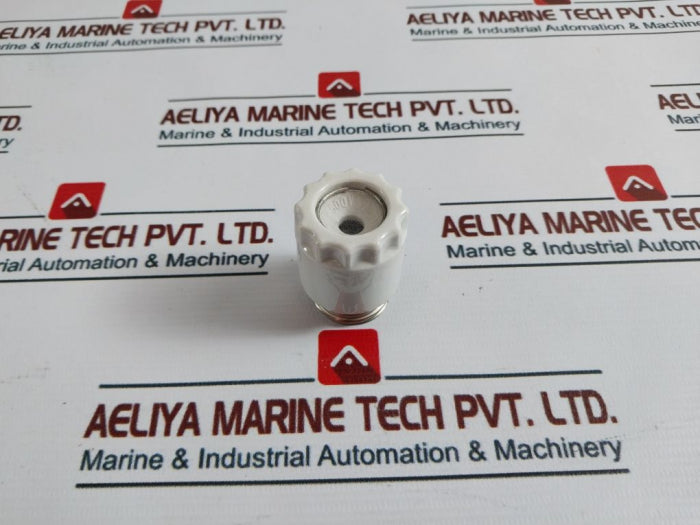 Siemens Screw Cap Fuse 500V